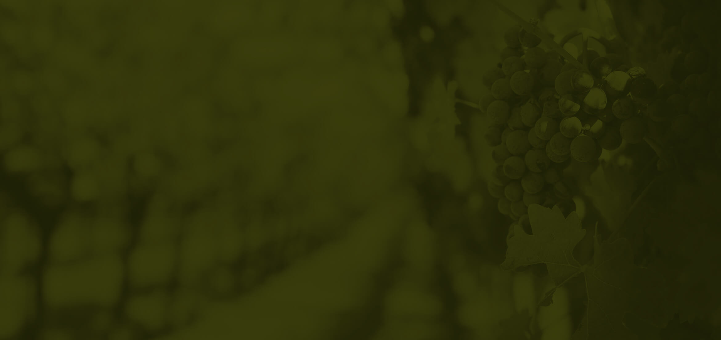 Vinoartis